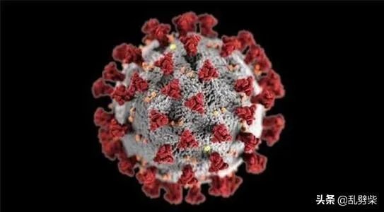 新冠病毒变异，是因为英国人吃蝙蝠和老鼠造成的吗？