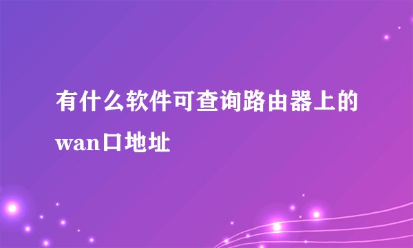 有什么软件可查询路由器上的wan口地址