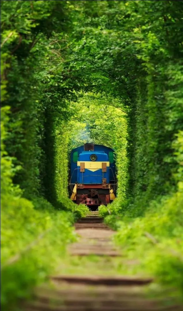 我听说很多女生不喜欢人家叫她小姐姐，那应该怎么叫？