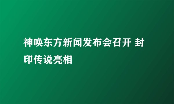 神唤东方新闻发布会召开 封印传说亮相