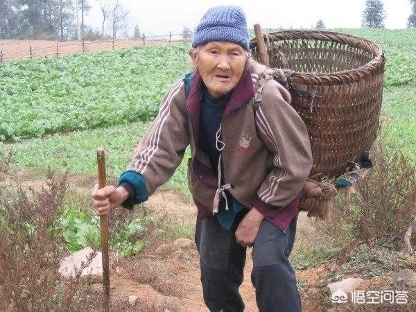 儿女对父母不管不问、一点不尽孝，应该把他们送上法庭吗？