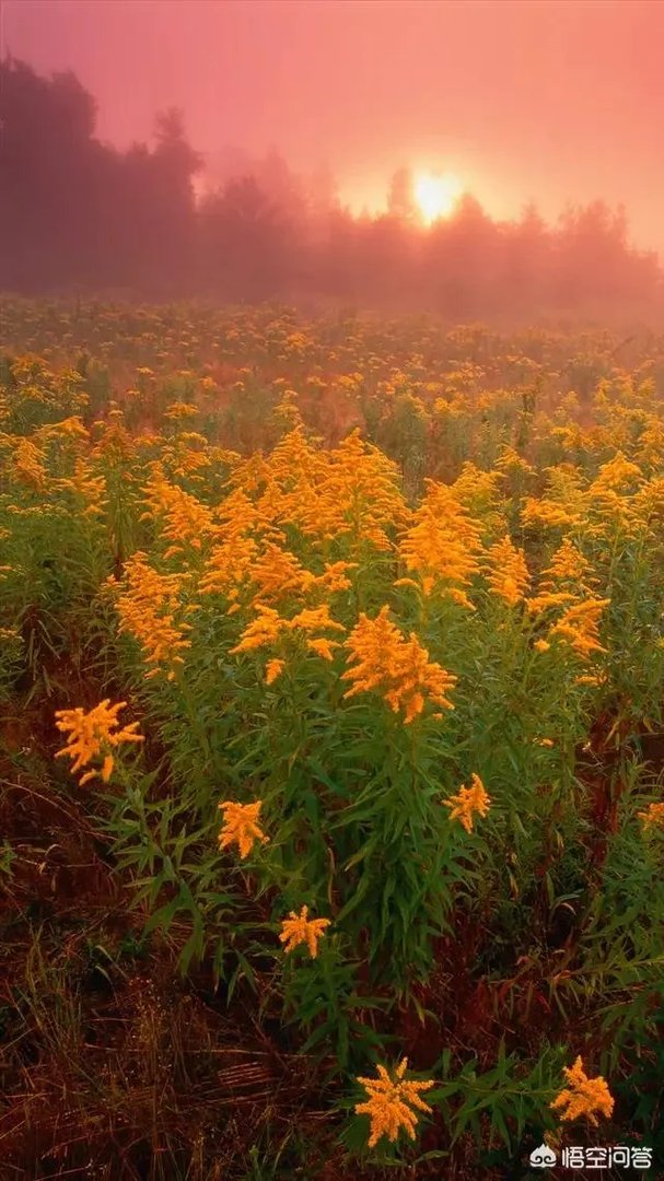 年年大丰收，下联怎么对？