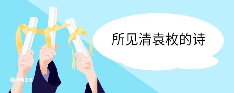 所见清袁枚的诗