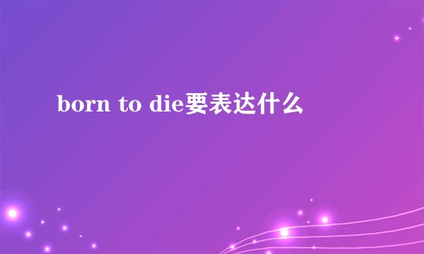 born to die要表达什么