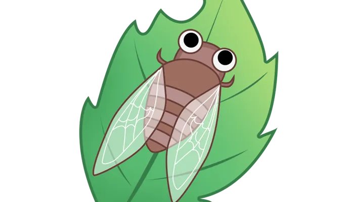 知了吃什么 知了喝什么长大