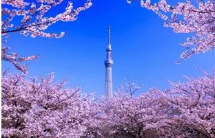 东京天空树攻略