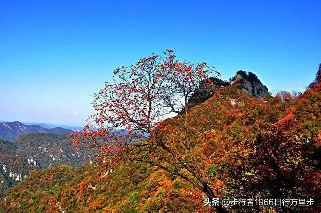 央视新闻，PTFX普顿外汇是不是骗局？