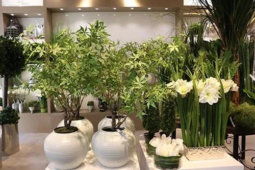 武汉哪里可以定做仿真树