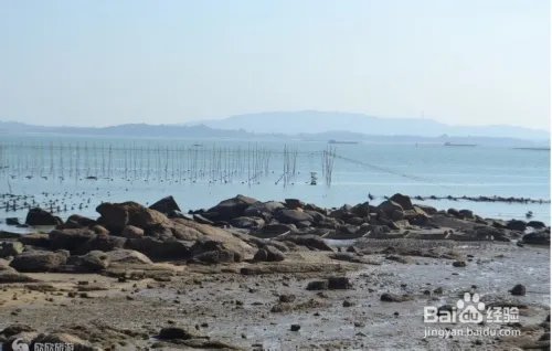 翔安区旅游攻略