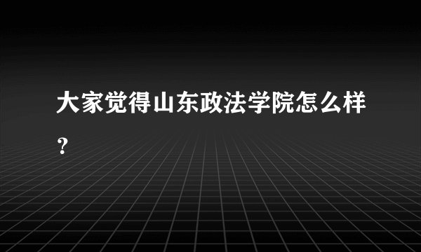 大家觉得山东政法学院怎么样？