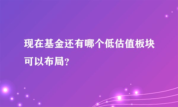 现在基金还有哪个低估值板块可以布局？