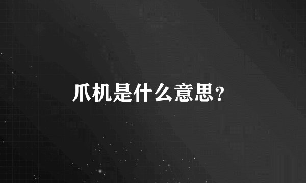 爪机是什么意思？