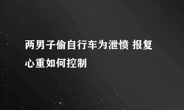 两男子偷自行车为泄愤 报复心重如何控制