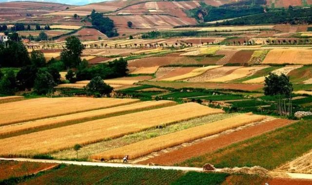 秦岭72峪最值得去的几个