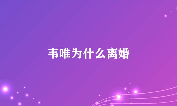 韦唯为什么离婚