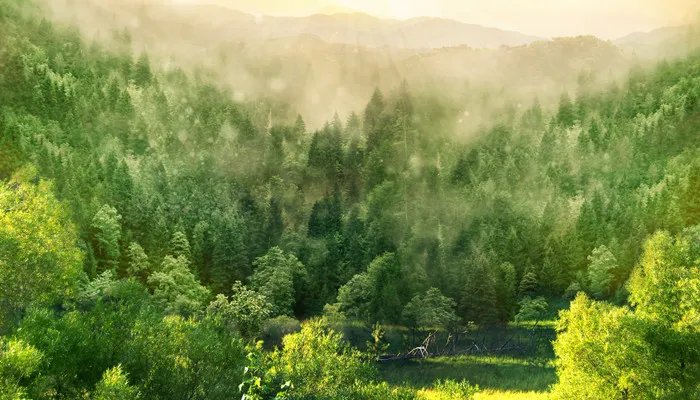 乌托邦什么意思 乌托邦指的是什么