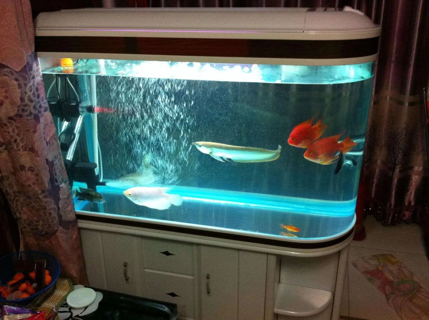 怎样自制鱼缸氧气