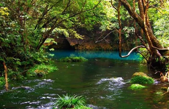 贵州镇远古镇有哪些景点？