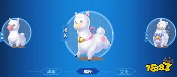 QQ飞车手游宠物羊驼有什么技能 羊驼技能一览