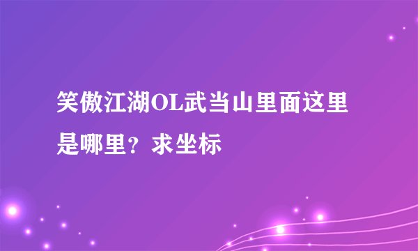 笑傲江湖OL武当山里面这里是哪里？求坐标