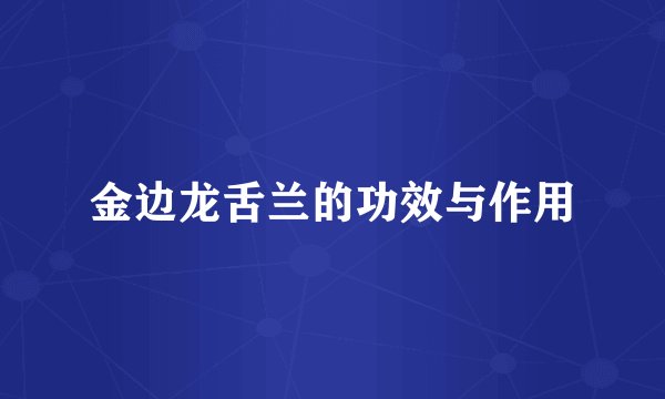 金边龙舌兰的功效与作用