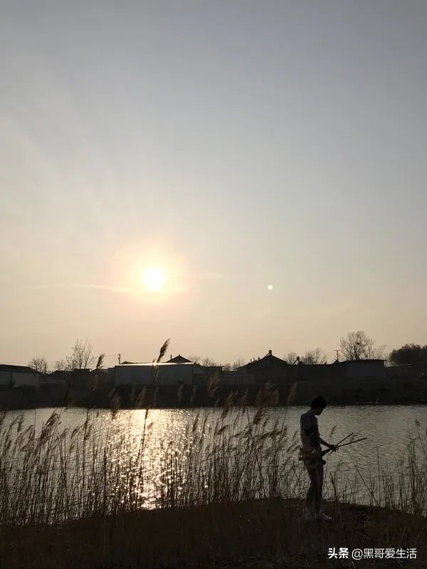 什么牌子的手机便宜又好用？推荐一下？