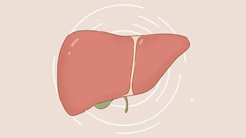 肝不好的症状有哪些