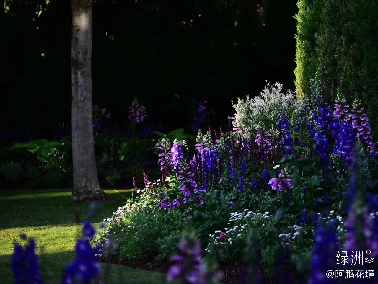 2019，从北京世园会湖南园花境到印象莫奈系列花境花园，从上...