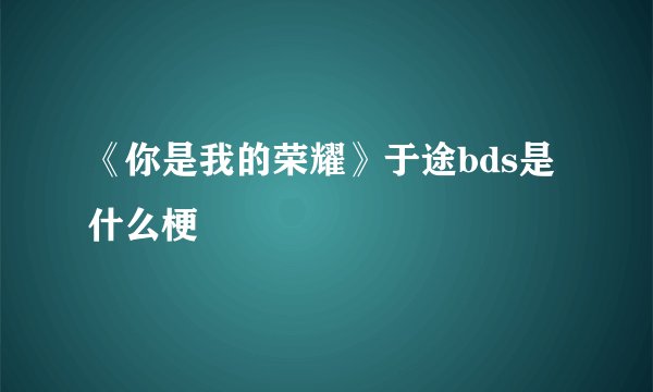 《你是我的荣耀》于途bds是什么梗