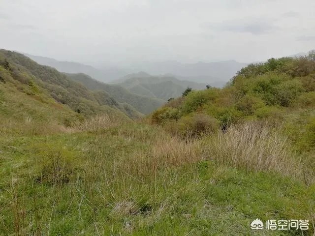 秦岭72峪最值得去的几个