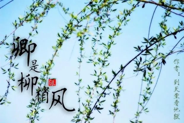 全程都是车的百合文