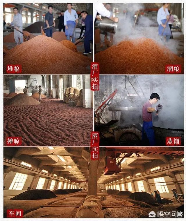 茅台迎宾酒怎么样