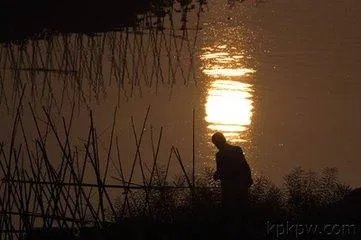 篱笆墙的影子 歌词