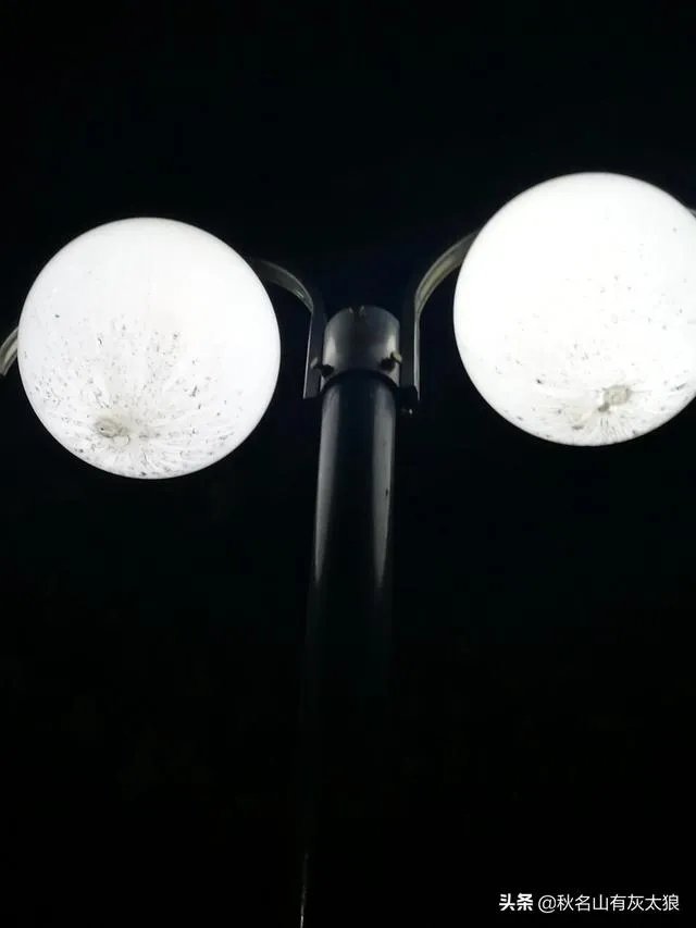 郑州升达经贸管理学院怎么样?