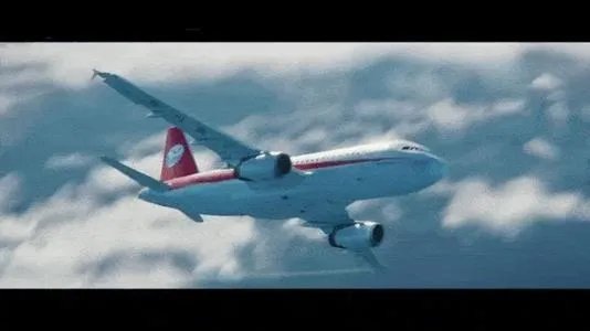 四川8633副机长为什么禁飞