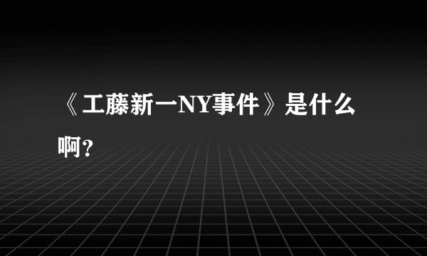 《工藤新一NY事件》是什么啊？