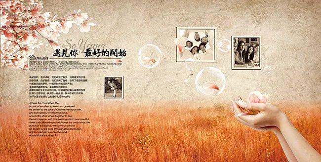 中国同学录的网站简介