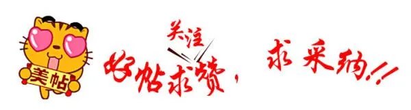 格力狗和灵缇狗哪个品种好？为什么？