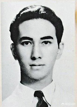 论相貌，王德民和何鸿燊谁帅？