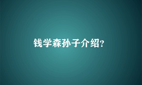 钱学森孙子介绍？