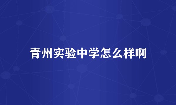 青州实验中学怎么样啊