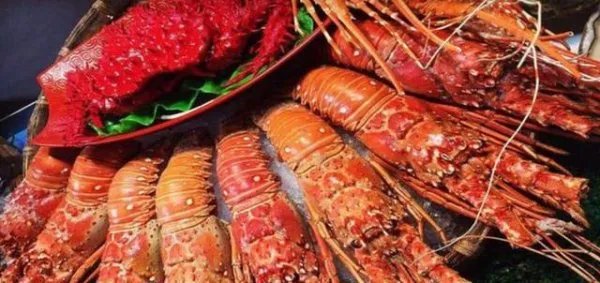 泰国旅游点了三只大虾,为什么导游会劝人别吃呢?