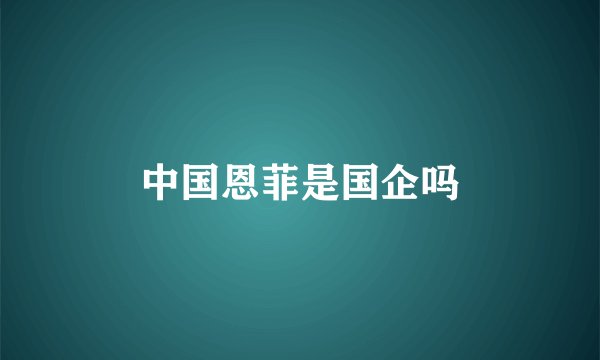 中国恩菲是国企吗
