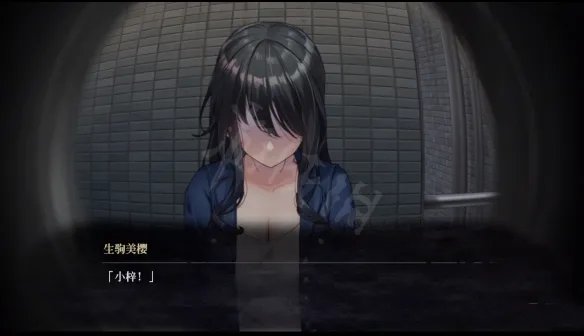 《探灵直播》游戏有几个结局？游戏全结局cg剧情一览