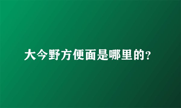 大今野方便面是哪里的？