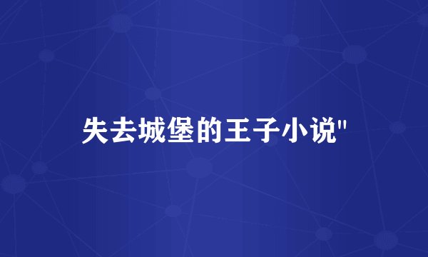 失去城堡的王子小说