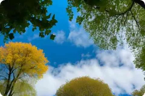 在台湾省买苹果手机比大陆便宜吗？便宜多少