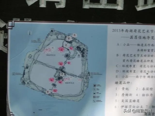 三潭印月有什么特色？