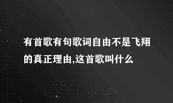 有首歌有句歌词自由不是飞翔的真正理由,这首歌叫什么