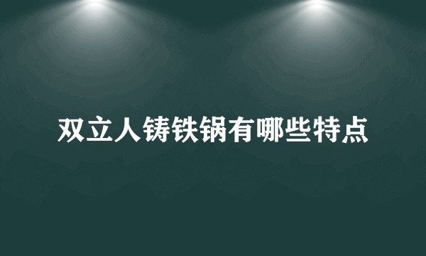 双立人铸铁锅有哪些特点